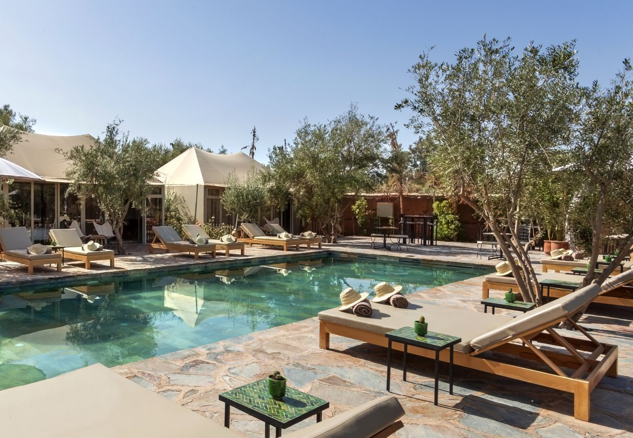 Villa in Marrakech - OASIS COCO, 27 sleeps, magnificient event's domain, 8 mns from Marrakech center