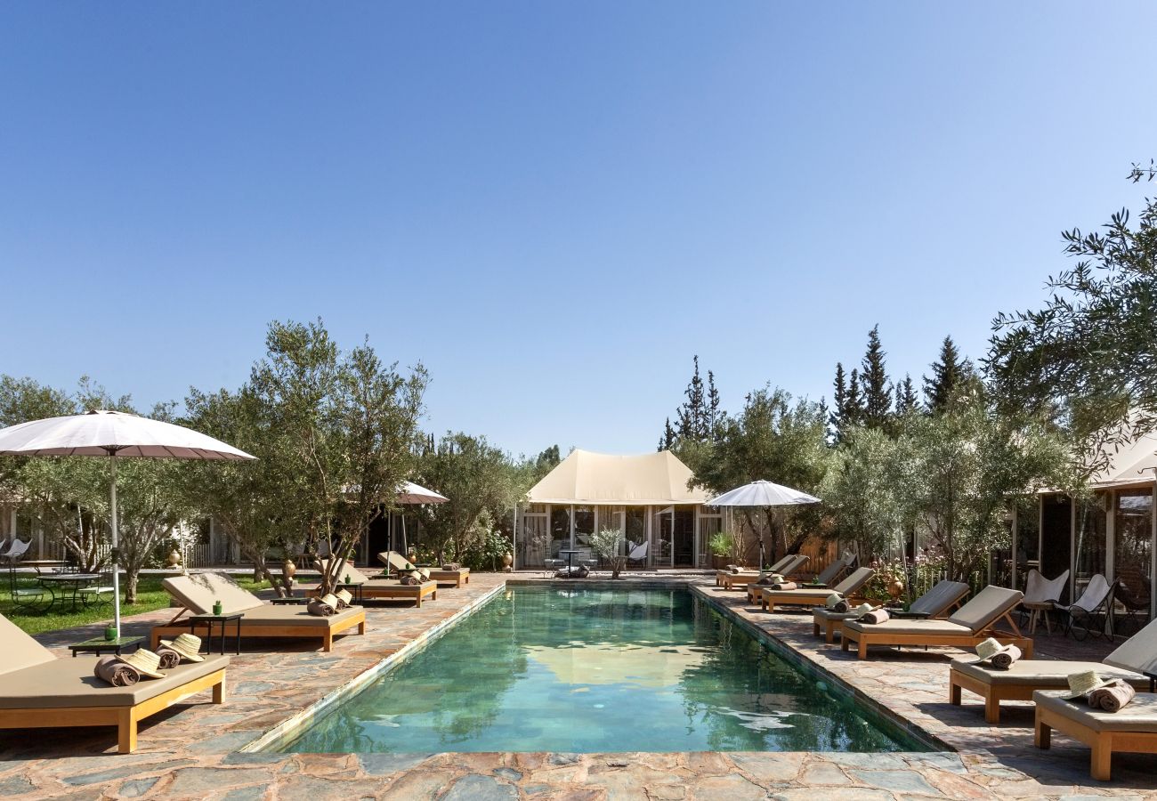 Villa in Marrakech - OASIS COCO, 27 sleeps, magnificient event's domain, 8 mns from Marrakech center