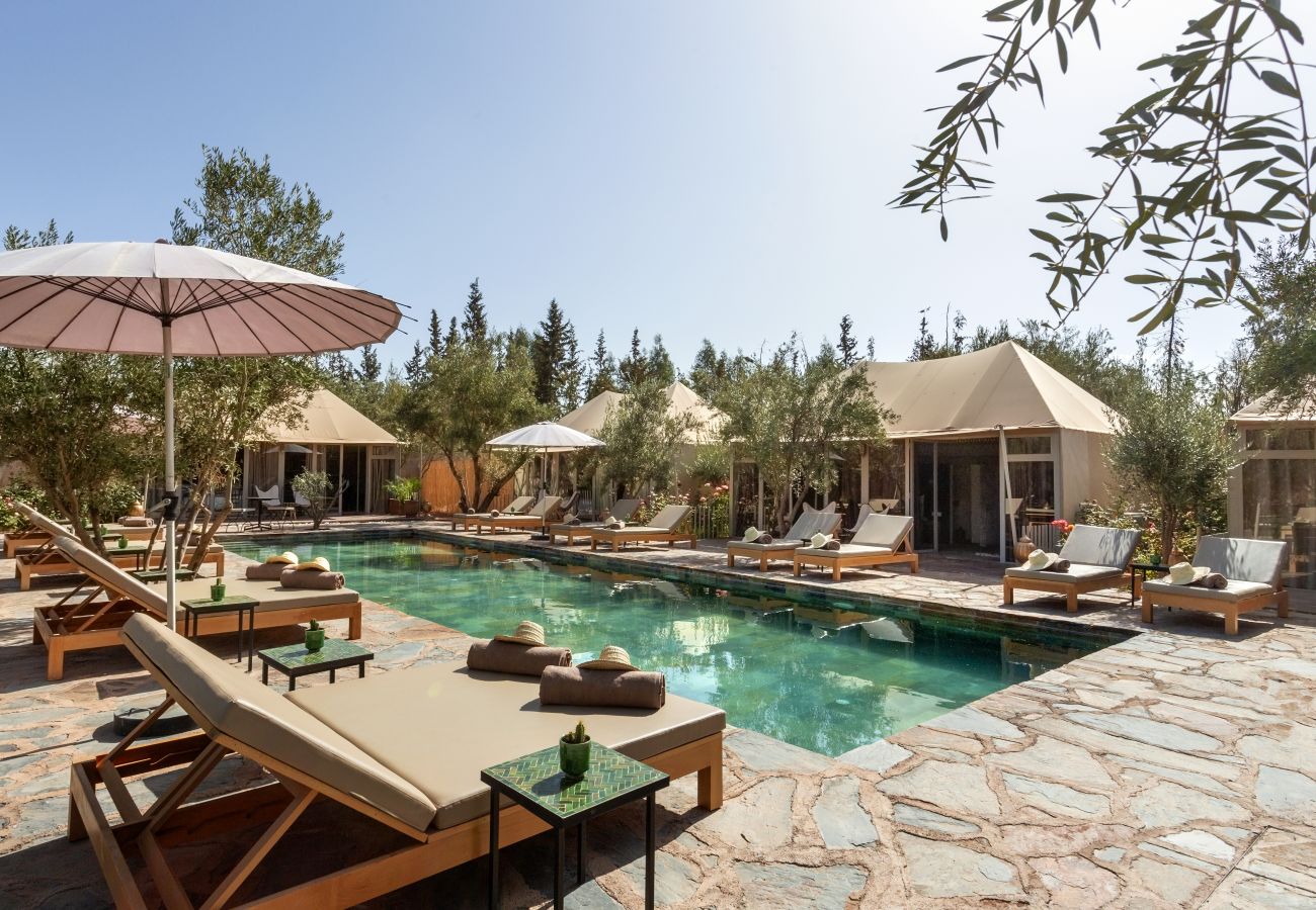 Villa in Marrakech - OASIS COCO, 27 sleeps, magnificient event's domain, 8 mns from Marrakech center