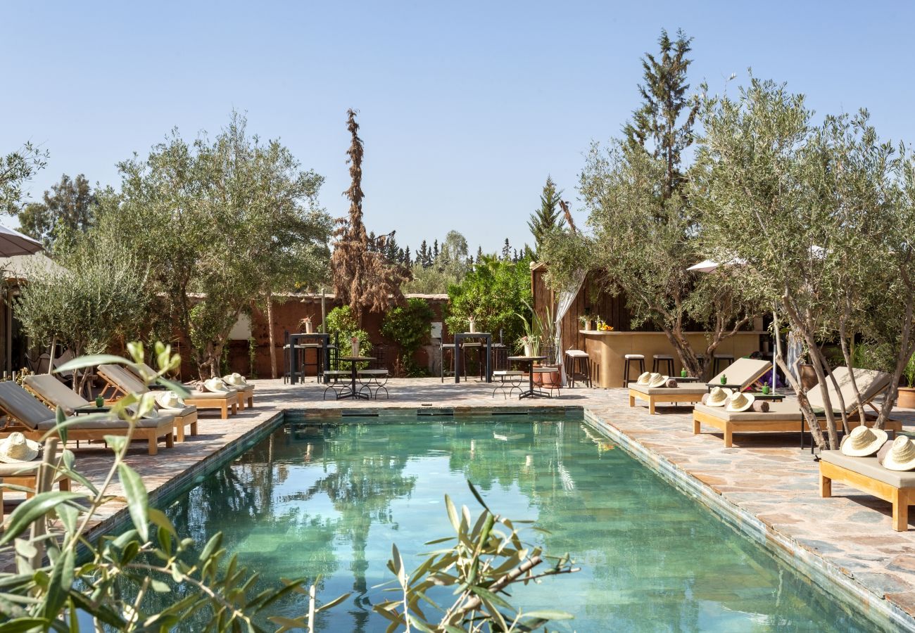 Villa in Marrakech - OASIS COCO, 27 sleeps, magnificient event's domain, 8 mns from Marrakech center