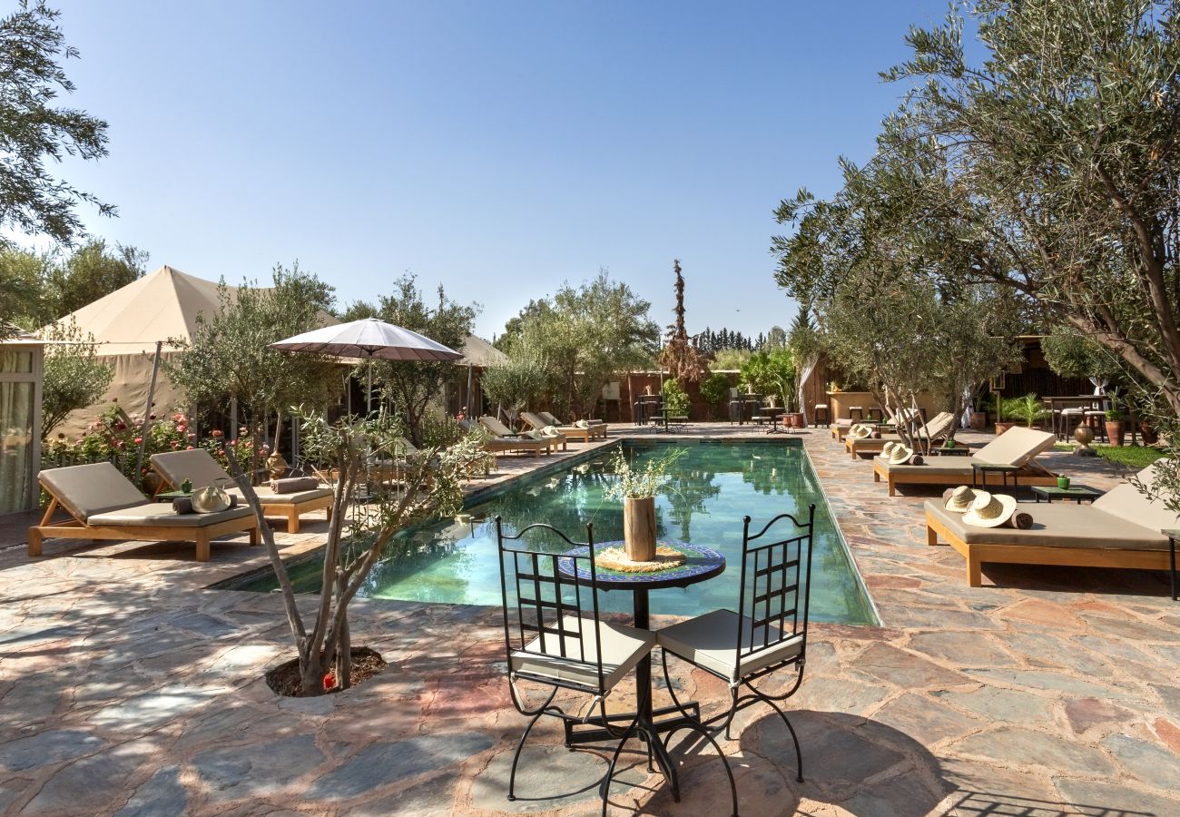 Villa in Marrakech - OASIS COCO, 27 sleeps, magnificient event's domain, 8 mns from Marrakech center