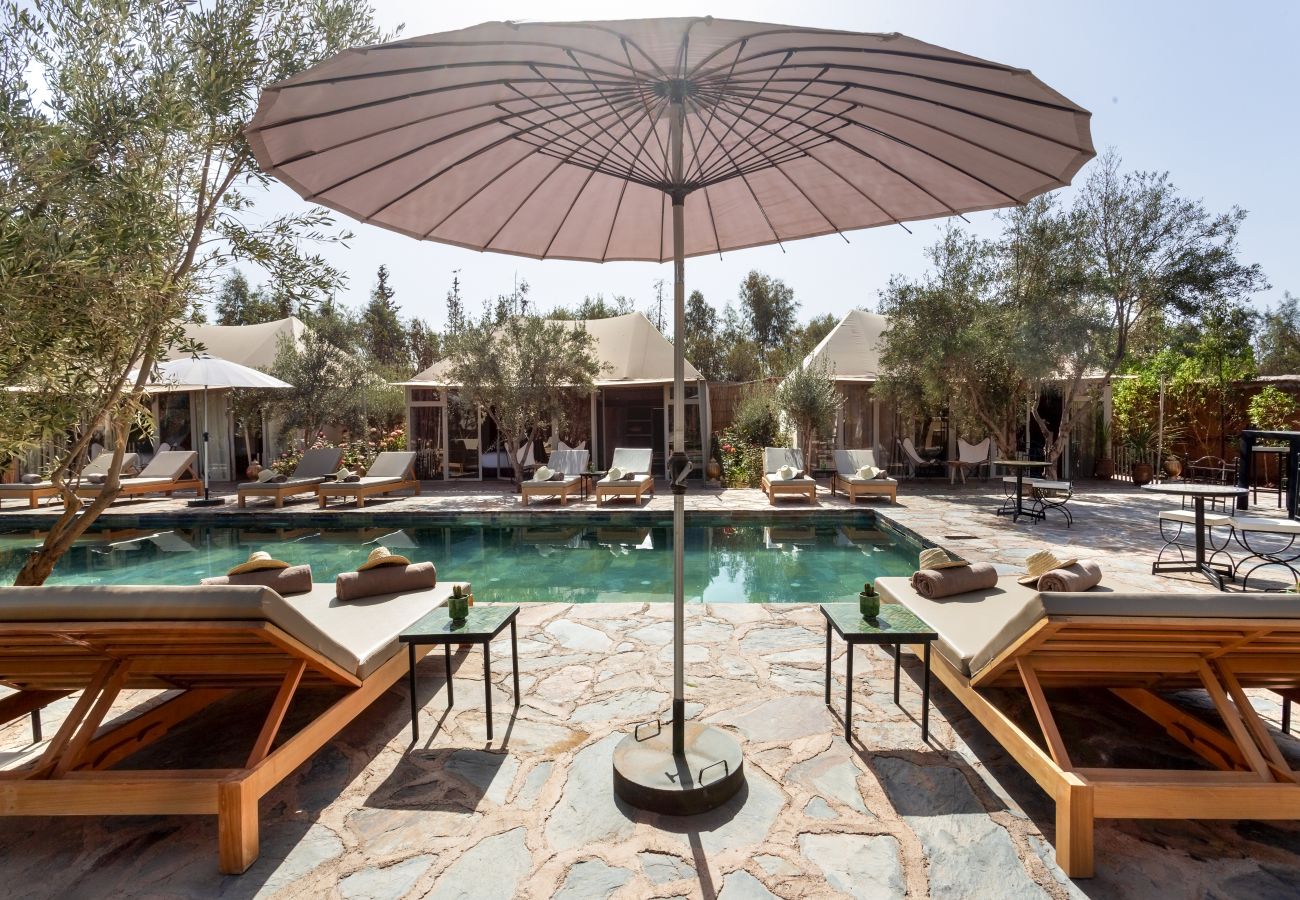 Villa in Marrakech - OASIS COCO, 27 sleeps, magnificient event's domain, 8 mns from Marrakech center